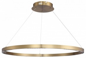 Подвесной светильник ST-Luce PARILLA SL6238.343.01 в Качканаре - kachkanar.mebel24.online | фото 3
