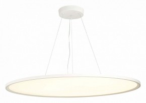 Подвесной светильник ST-Luce ST602 ST602.543.120 в Качканаре - kachkanar.mebel24.online | фото 3