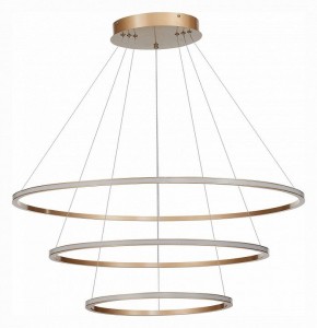 Подвесной светильник ST-Luce ST604 OUT ST604.243.114 в Качканаре - kachkanar.mebel24.online | фото 2