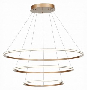 Подвесной светильник ST-Luce ST604 OUT ST604.243.114 в Качканаре - kachkanar.mebel24.online | фото 3