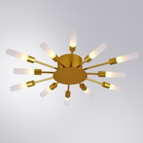 Потолочная люстра Arte Lamp Maple A1276PL-12GO в Качканаре - kachkanar.mebel24.online | фото 1
