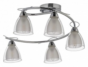 Потолочная люстра Arti Lampadari Paola, Tavenna Nickel Paola E 1.1.5 N в Качканаре - kachkanar.mebel24.online | фото