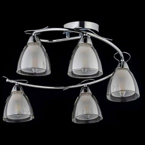 Потолочная люстра Arti Lampadari Paola, Tavenna Nickel Paola E 1.1.5 N в Качканаре - kachkanar.mebel24.online | фото 2