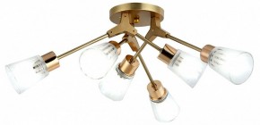 Потолочная люстра Escada Felicia 1137/6P в Качканаре - kachkanar.mebel24.online | фото 2