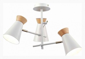Потолочная люстра EVOLUCE Alfeo SLE1252-502-03 в Качканаре - kachkanar.mebel24.online | фото