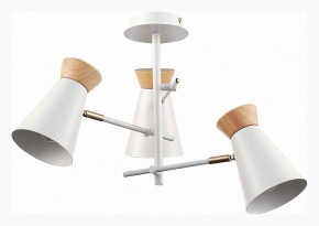 Потолочная люстра EVOLUCE Alfeo SLE1252-502-03 в Качканаре - kachkanar.mebel24.online | фото 2
