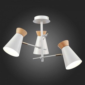 Потолочная люстра EVOLUCE Alfeo SLE1252-502-03 в Качканаре - kachkanar.mebel24.online | фото 3