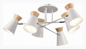 Потолочная люстра EVOLUCE Alfeo SLE1252-502-06 в Качканаре - kachkanar.mebel24.online | фото