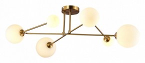 Потолочная люстра EVOLUCE Fantini SLE2211-302-06 в Качканаре - kachkanar.mebel24.online | фото 3
