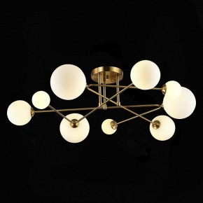 Потолочная люстра EVOLUCE Fantini SLE2211-302-09 в Качканаре - kachkanar.mebel24.online | фото 4