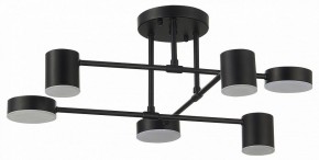 Потолочная люстра EVOLUCE Nobel SLE201042-06 в Качканаре - kachkanar.mebel24.online | фото 11