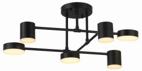 Потолочная люстра EVOLUCE Nobel SLE201042-06 в Качканаре - kachkanar.mebel24.online | фото 12