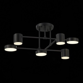 Потолочная люстра EVOLUCE Nobel SLE201042-06 в Качканаре - kachkanar.mebel24.online | фото 13