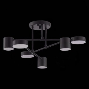 Потолочная люстра EVOLUCE Nobel SLE201042-06 в Качканаре - kachkanar.mebel24.online | фото 2