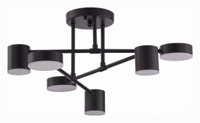Потолочная люстра EVOLUCE Nobel SLE201042-06 в Качканаре - kachkanar.mebel24.online | фото 3