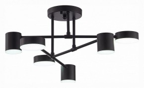 Потолочная люстра EVOLUCE Nobel SLE201042-06 в Качканаре - kachkanar.mebel24.online | фото 5