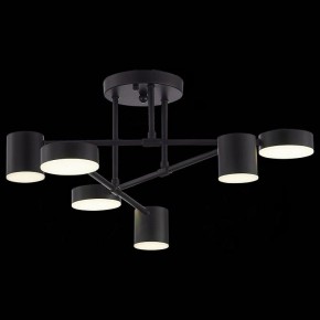Потолочная люстра EVOLUCE Nobel SLE201042-06 в Качканаре - kachkanar.mebel24.online | фото 6