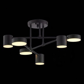 Потолочная люстра EVOLUCE Nobel SLE201042-06 в Качканаре - kachkanar.mebel24.online | фото 7