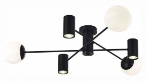 Потолочная люстра EVOLUCE Raito SLE1105-402-06 в Качканаре - kachkanar.mebel24.online | фото