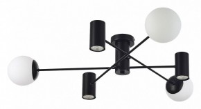 Потолочная люстра EVOLUCE Raito SLE1105-402-06 в Качканаре - kachkanar.mebel24.online | фото 2