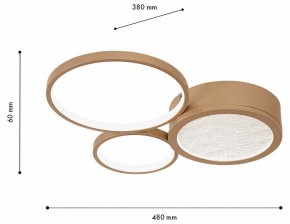 Потолочная люстра F-promo Campus 4681-3C в Качканаре - kachkanar.mebel24.online | фото 7