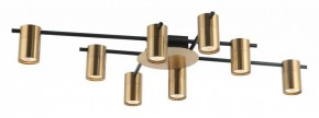 Потолочная люстра Favourite Topper 2827-8P в Качканаре - kachkanar.mebel24.online | фото 2