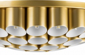 Потолочная люстра Lightstar Siena 720402 в Качканаре - kachkanar.mebel24.online | фото 3