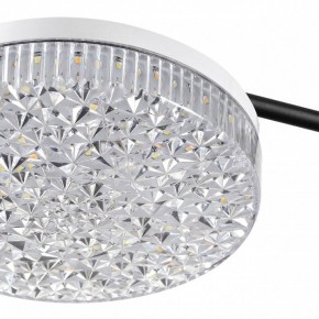 Потолочная люстра Lumion Didana 8236/4CL в Качканаре - kachkanar.mebel24.online | фото 10