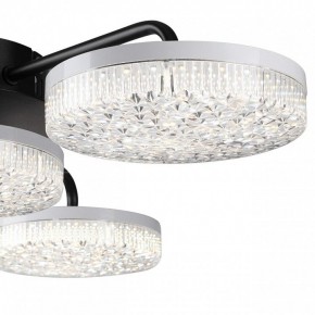 Потолочная люстра Lumion Didana 8236/4CL в Качканаре - kachkanar.mebel24.online | фото 7