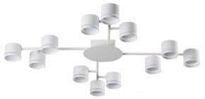 Потолочная люстра Lumion Gareta 8235/12C в Качканаре - kachkanar.mebel24.online | фото