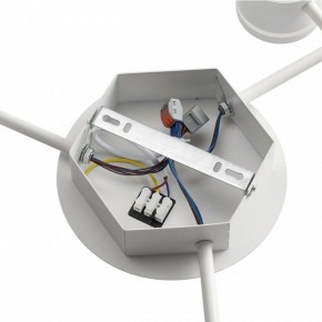Потолочная люстра Lumion Gareta 8235/9C в Качканаре - kachkanar.mebel24.online | фото 6