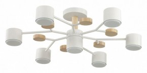 Потолочная люстра Lumion Rondo 8195/7C в Качканаре - kachkanar.mebel24.online | фото
