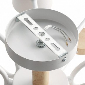 Потолочная люстра Lumion Rondo 8196/10C в Качканаре - kachkanar.mebel24.online | фото 6