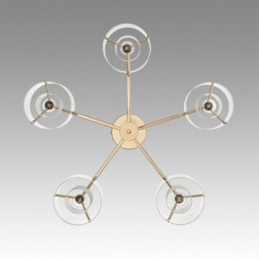 Потолочная люстра Lumion Verdi 6587/5C в Качканаре - kachkanar.mebel24.online | фото 4