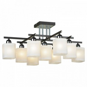 Потолочная люстра Lussole Costanzo LSL-9007-09 в Качканаре - kachkanar.mebel24.online | фото 2