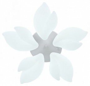 Потолочная люстра Natali Kovaltseva Effect LED LAMPS 81116 в Качканаре - kachkanar.mebel24.online | фото 3