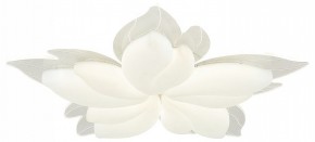 Потолочная люстра Natali Kovaltseva Effect LED LAMPS 81118 в Качканаре - kachkanar.mebel24.online | фото 3
