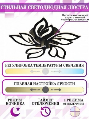 Потолочная люстра Natali Kovaltseva High-Tech Led Lamps HIGH-TECH LED LAMPS 82006 BLACK в Качканаре - kachkanar.mebel24.online | фото 5