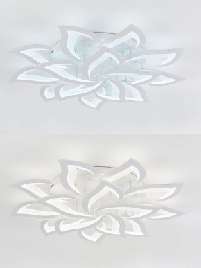 Потолочная люстра Natali Kovaltseva Olimp LED LAMPS 81335 в Качканаре - kachkanar.mebel24.online | фото 6