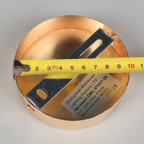Потолочная люстра Omnilux Acuto OML-67007-06 в Качканаре - kachkanar.mebel24.online | фото 8