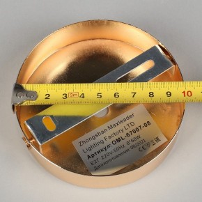 Потолочная люстра Omnilux Acuto OML-67007-08 в Качканаре - kachkanar.mebel24.online | фото 8
