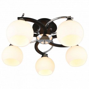 Потолочная люстра Omnilux Caldiero OML-25407-05 в Качканаре - kachkanar.mebel24.online | фото 2