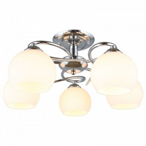 Потолочная люстра Omnilux Casoria OML-25107-05 в Качканаре - kachkanar.mebel24.online | фото 2