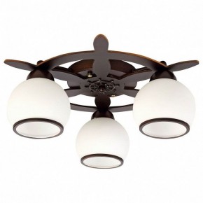 Потолочная люстра Omnilux Fronteira OML-50507-03 в Качканаре - kachkanar.mebel24.online | фото