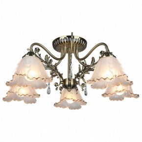 Потолочная люстра Omnilux Petrara OML-54807-05 в Качканаре - kachkanar.mebel24.online | фото