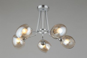 Потолочная люстра Omnilux Tesero OML-27307-05 в Качканаре - kachkanar.mebel24.online | фото 3