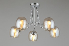 Потолочная люстра Omnilux Tesero OML-27307-05 в Качканаре - kachkanar.mebel24.online | фото 6