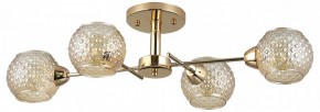 Потолочная люстра Rivoli Amalia Б0050815 в Качканаре - kachkanar.mebel24.online | фото