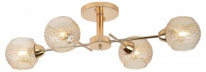 Потолочная люстра Rivoli Amalia Б0050815 в Качканаре - kachkanar.mebel24.online | фото 2