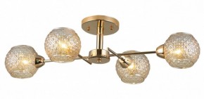 Потолочная люстра Rivoli Amalia Б0050815 в Качканаре - kachkanar.mebel24.online | фото 3